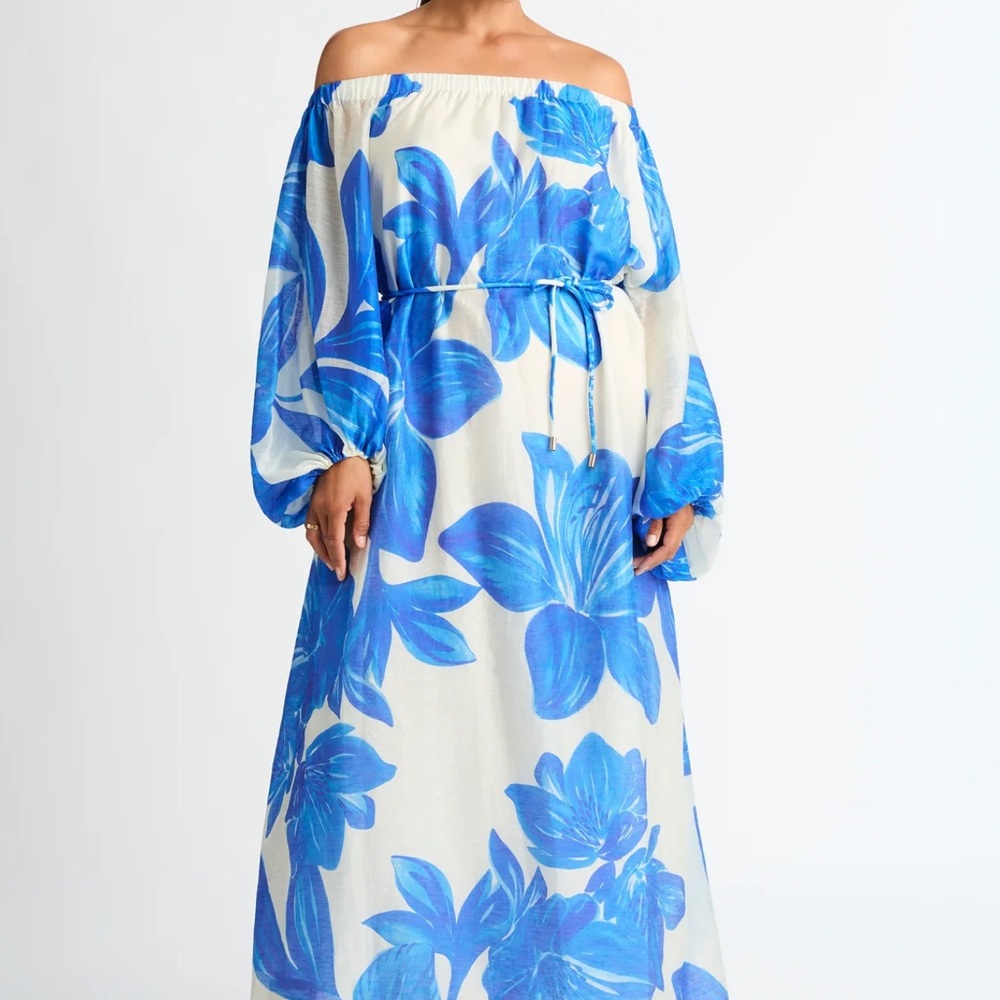 Beautiful NWT Sheike Blue Floral Maxi Dress